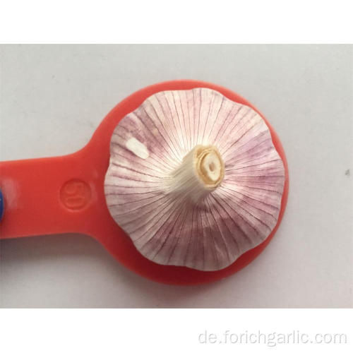 Heißer verkaufender frischer normaler weißer Knoblauch 5.0cm